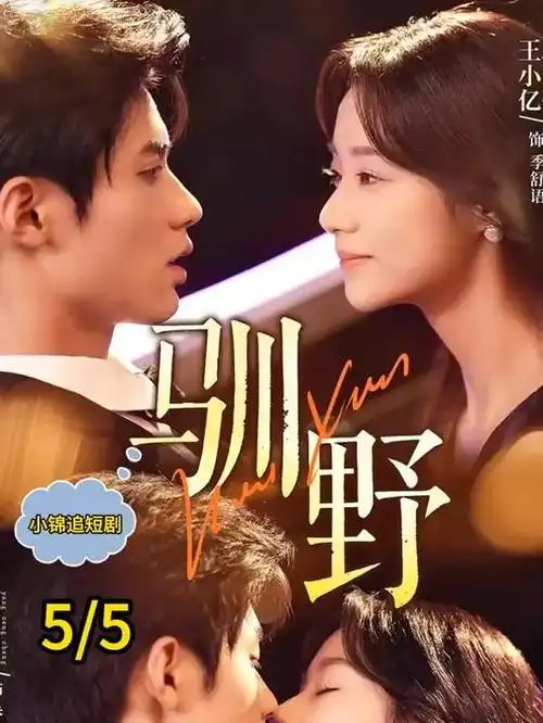 静默的证词 电视剧全集免费观看